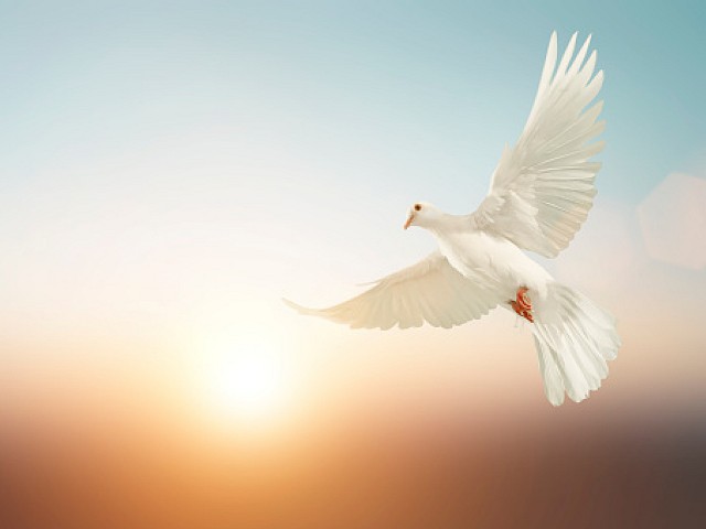 «Noi vogliamo la pace», aderisci qui all’appello dell’Arcivescovo
